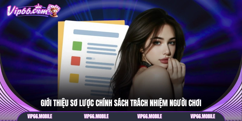 Giới thiệu sơ lược chính sách trách nhiệm người chơi