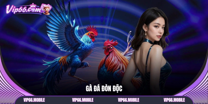 Gà đá đòn độc